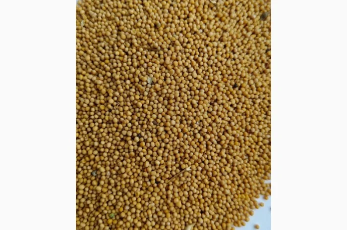 Насіння- фото № 1