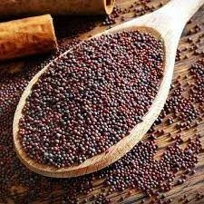 Продам гірчицю чорну- фото № 1