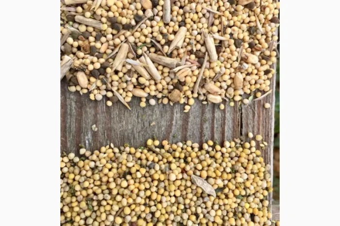 Куплю горчицу- фото № 1