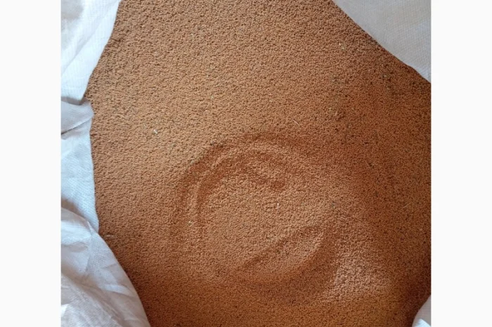 Горчица на сидерат- фото № 3