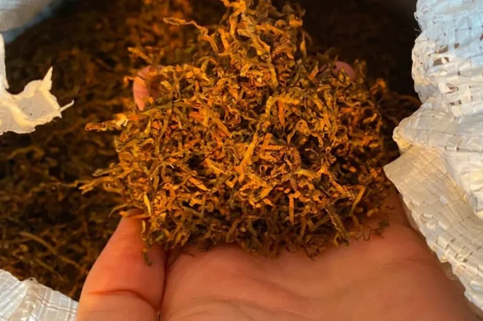 Действительно крепкий табак Дюбек Кентуки Крепкий Табак- фото № 3