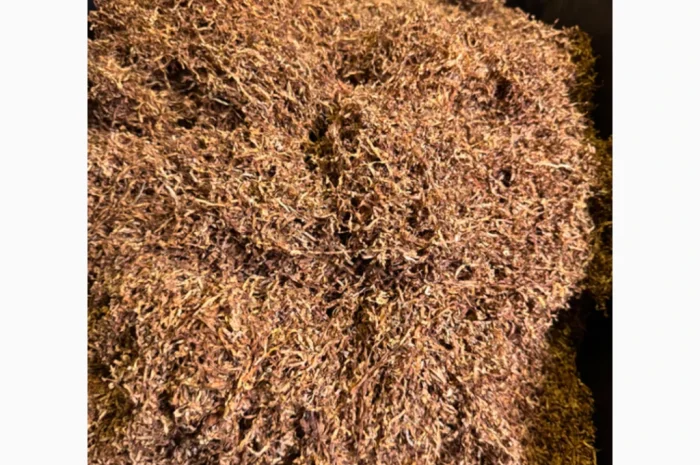 Табак высокого качества - Кемел- фото № 3