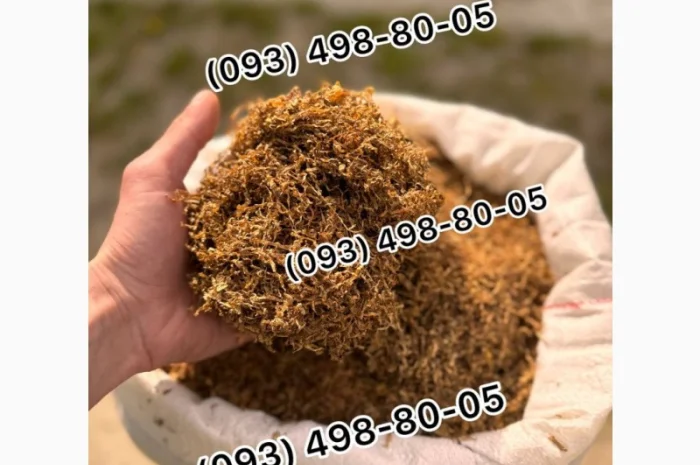 Якісний тютюн у продажу: Гавана, Прилуки та інші сорти- фото № 14