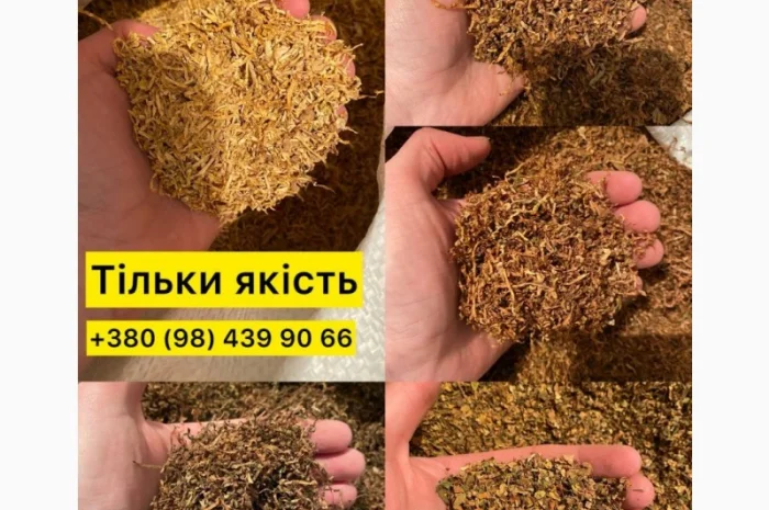 Тютюн премиум-класса Вирджиния- фото № 1