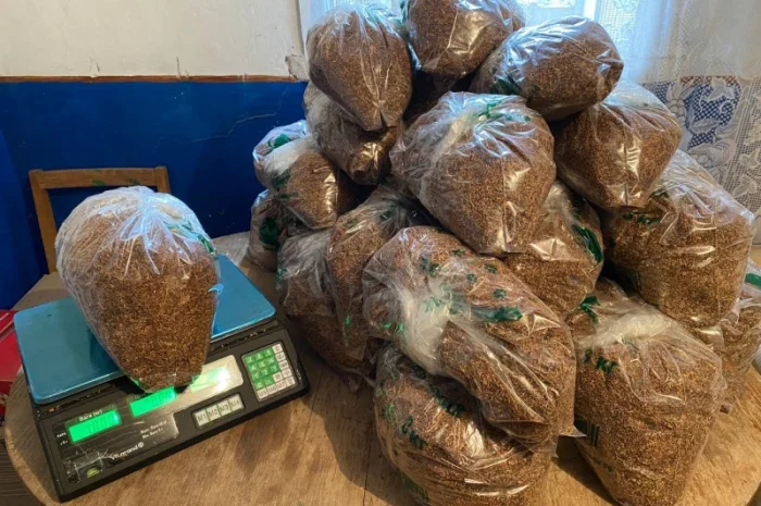 Тютюн Вірджинія середня – натуральна якість- фото № 1