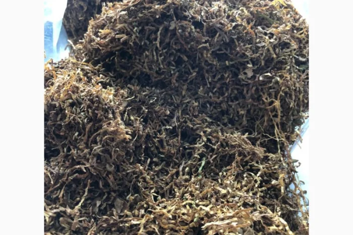 Продается качественный табак Берлей- фото № 7