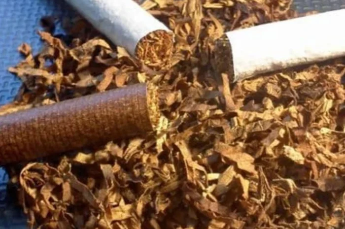 Якісний тютюн у продажу- фото № 1