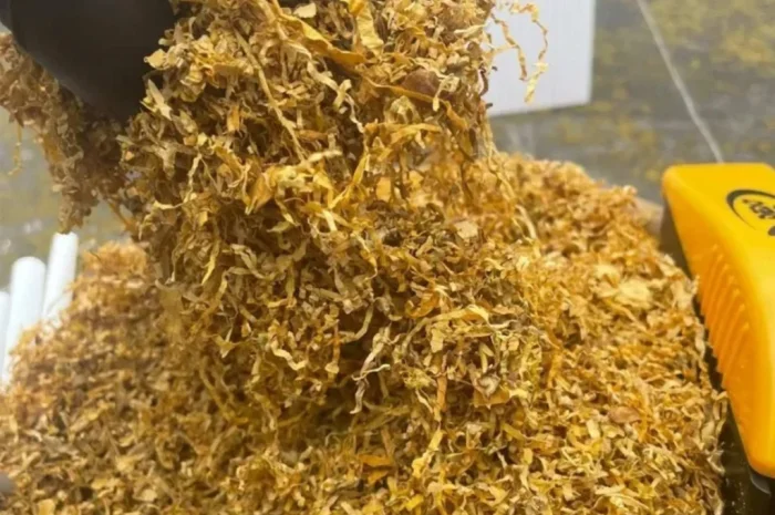 Свежий табак хорошего качества- фото № 1