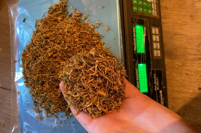 Настоящий табак - Вирджиния и Берли! Мягкий- фото № 1