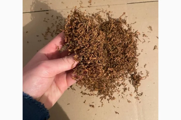 Темный Берли – крепкий и насыщенный табак- фото № 4