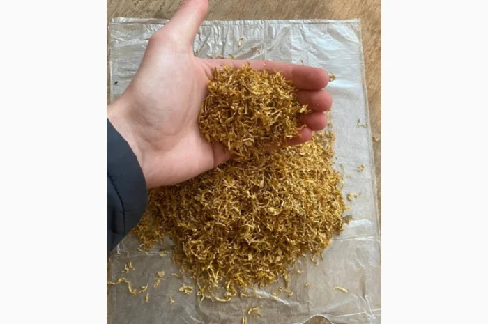 Табак Вирджиния Голд! Только опт- фото № 4