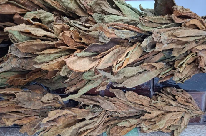 Продам лист тютюну- фото № 2