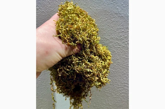 Табак для истинного удовольствия- фото № 5