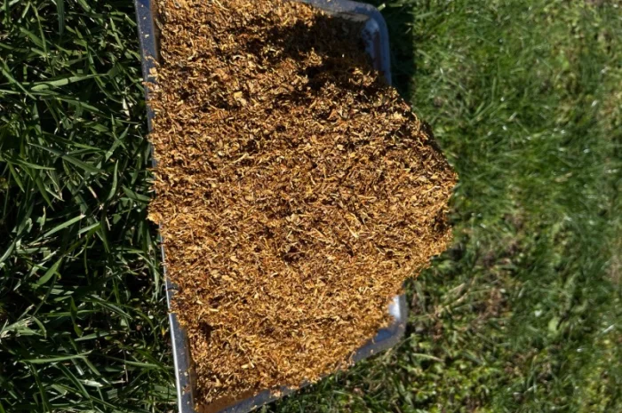 Табак с классическим и редким вкусом- фото № 2