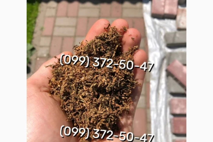 Тютюн без палок и пилу Кемел- фото № 13