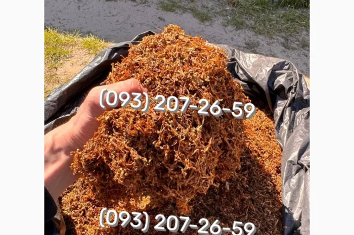 Якісний та чистий тютюн Кемел- фото № 13