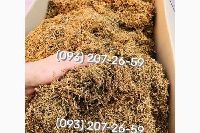 Якісний та чистий тютюн Кемел- фото № 12