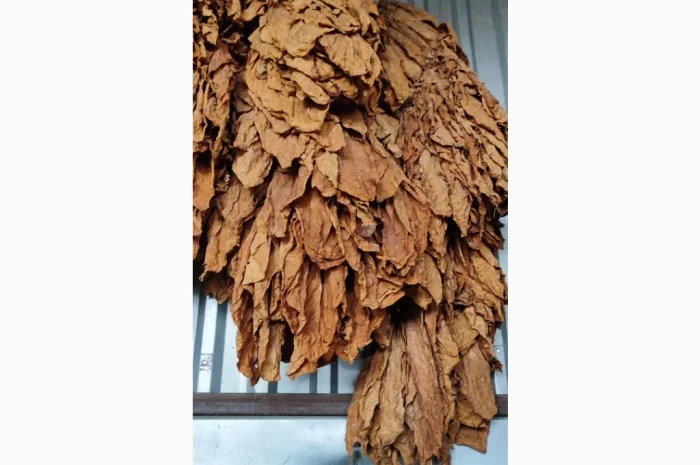 Продажа сортового листа тютюна- фото № 1