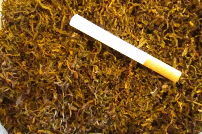 Качественный крепкий табак Берли на развес- фото № 1