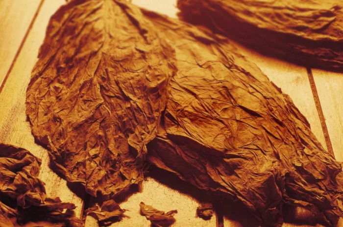 Импортный табак: Marlboro, Parliament, Kuba, Kentuki- фото № 2