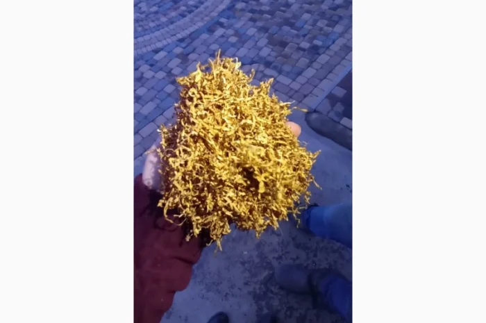 Качественный импортный табак. Герцеговина флор- фото № 1