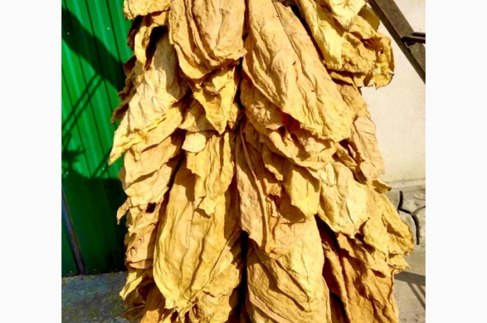 Табак найвищої якості з Герцеговини- фото № 4