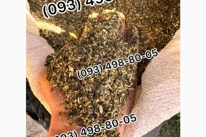 Качественный табак: Золото Руно, Гавана, Вирджиния и другие сорта- фото № 16