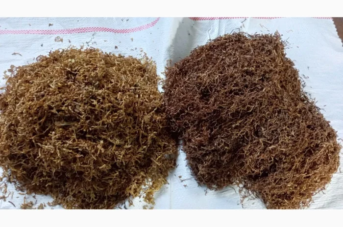 Премиальный табак без пыли и мусора Парламент- фото № 16