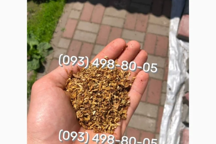 Отборный табак без пыли и мусора Davidoff- фото № 18