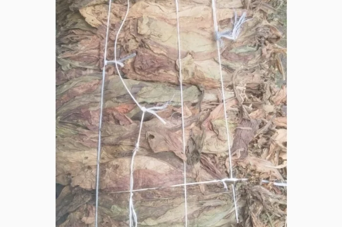 Продажа тютюна оптом- фото № 1