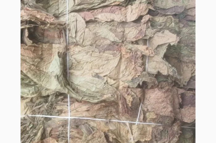 Продажа тютюна оптом- фото № 2