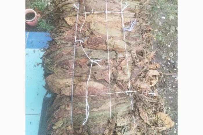 Продажа тютюна оптом- фото № 3