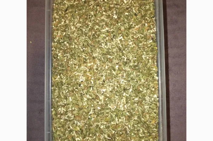 Продается махорка самосад 2025 года- фото № 1