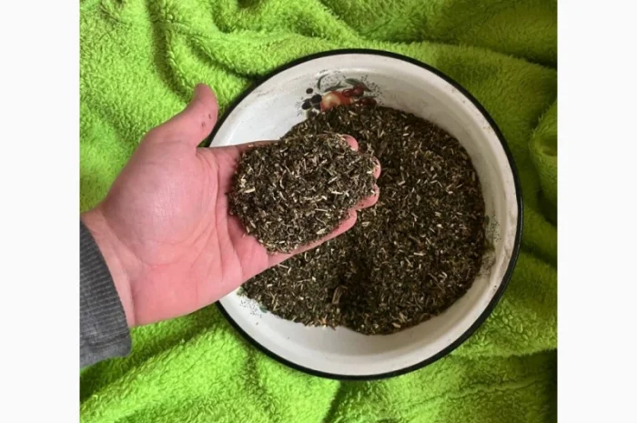 Куплю тютюн мохорки оптом- фото № 1