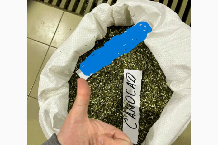 Куплю стебло и жилку табака оптом- фото № 1