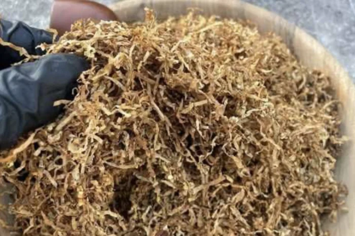 Табак Берлі - крепкий и качественный- фото № 1