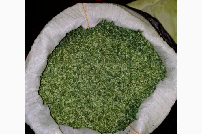 МАХОРКА высшего качества - домашний самосад и табак нарезка лапшой- фото № 1