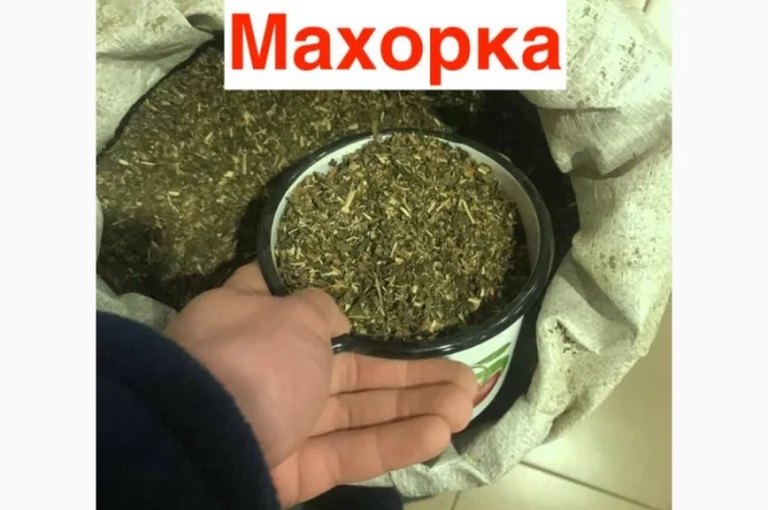 Махорка 2025 года для истинных ценителей- фото № 1