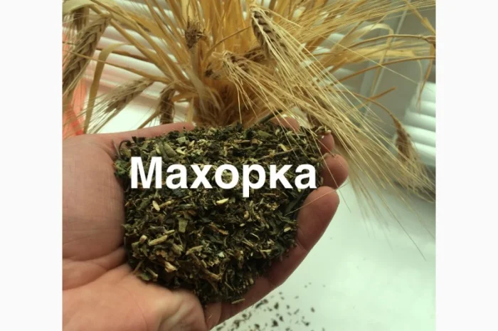 МАХОРКА - САМОСАД от дедушки и внука- фото № 1