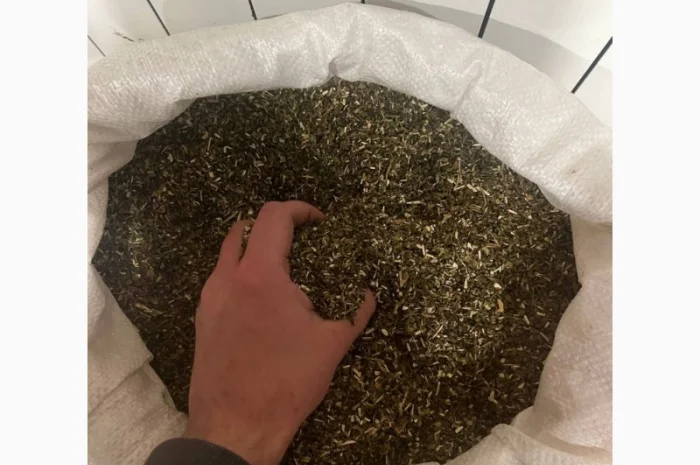 Качественная махорка для самокруток- фото № 1