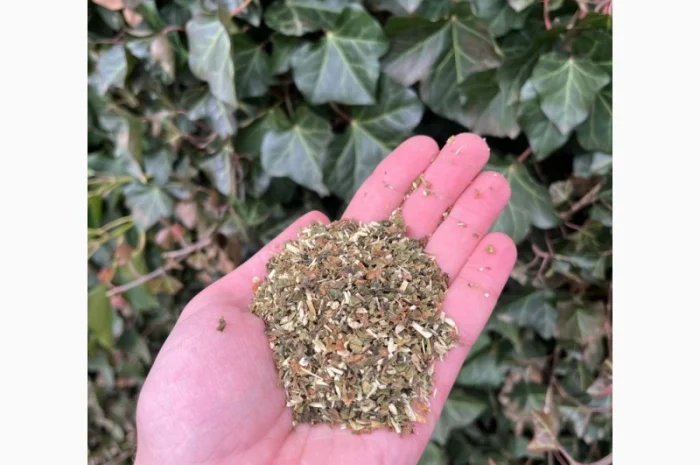 Самосад – качественный табак на развес- фото № 1