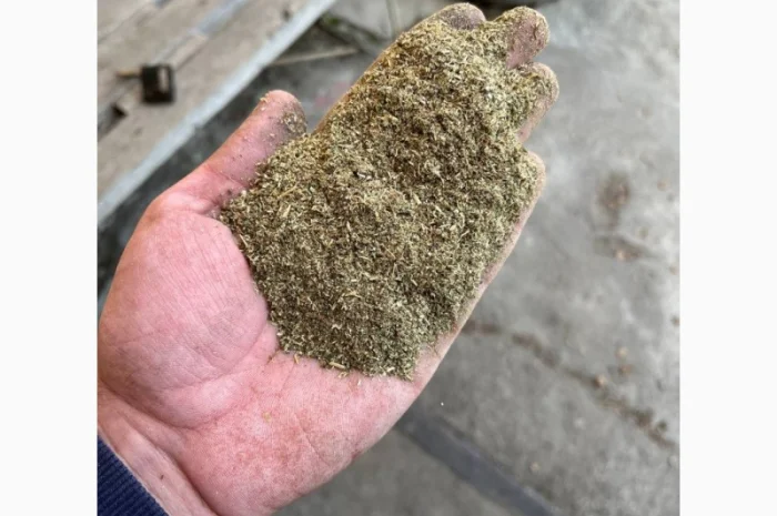 Махорка высокого качества от украинского производителя- фото № 1