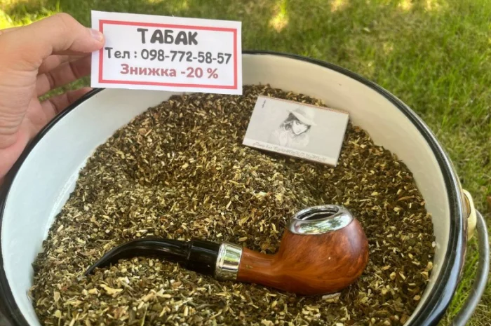Махорка собственного производства: аккуратно выращенная- фото № 1