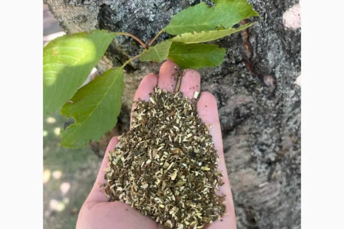 Традиционная самосадная махорка: настоящий украинский продукт- фото № 1