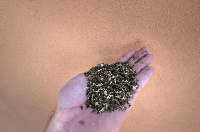 Махорка - натуральный домашний табак- фото № 1