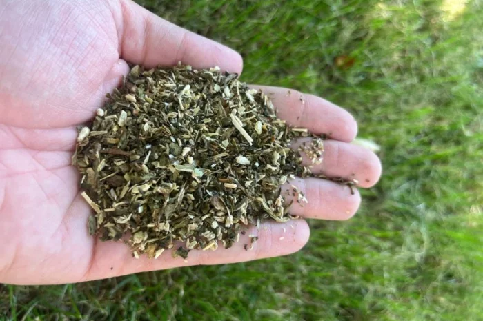 Найкраща махорка від виробника- фото № 1