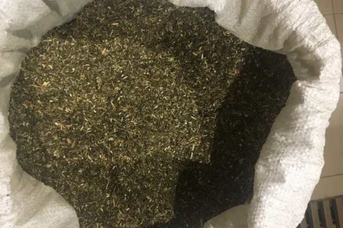 Табак Махорка по супер цене- фото № 1