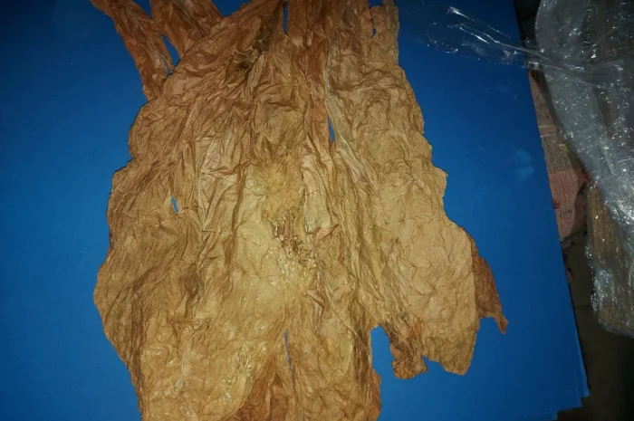 Табак Верджиния и Берли для продажи- фото № 3