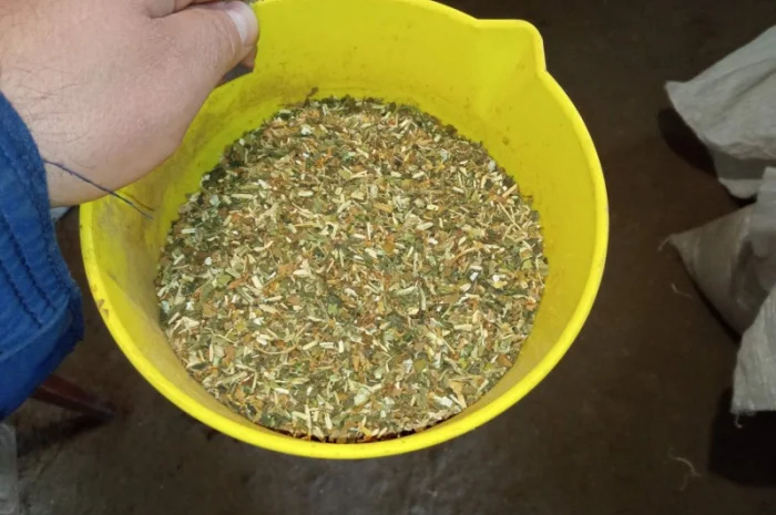 Табак берлі – отличный выбор- фото № 1