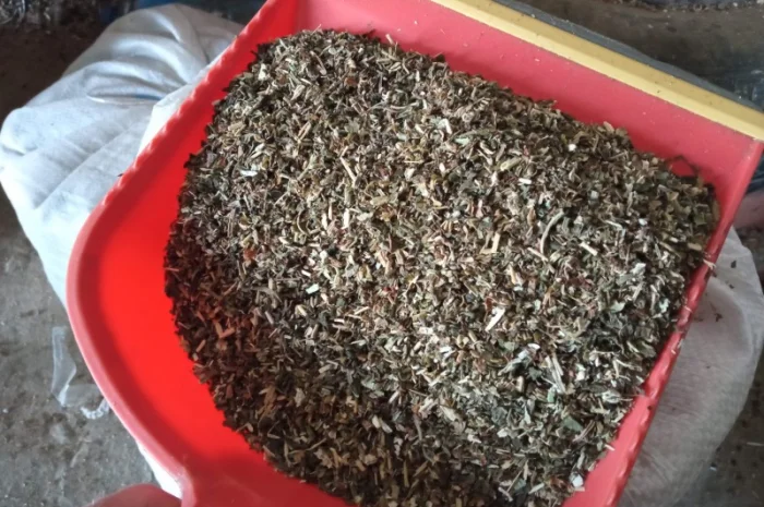 Махорка для самокруток - тютюн самосад Берлі- фото № 1